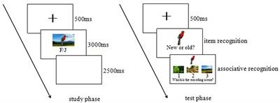 The Effects of Goal Relevance and Perceptual Features on Emotional Items and Associative Memory